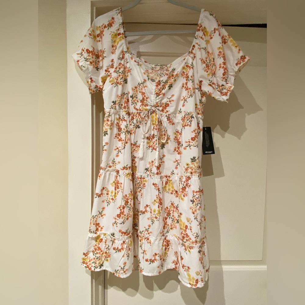 Blush Floral Dress size L